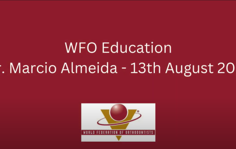 Aug 13 WFO Webinar - Marcio Almeida